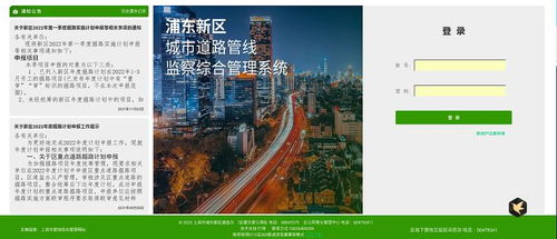 上海互聯(lián)網(wǎng)軟件集團(tuán) 高端協(xié)同管理軟件產(chǎn)品和咨詢(xún)服務(wù)提供商