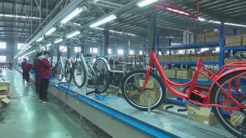 活力新衢州 美麗大花園 衢州 加大產(chǎn)品創(chuàng)新力度 不斷開拓國(guó)際市場(chǎng)